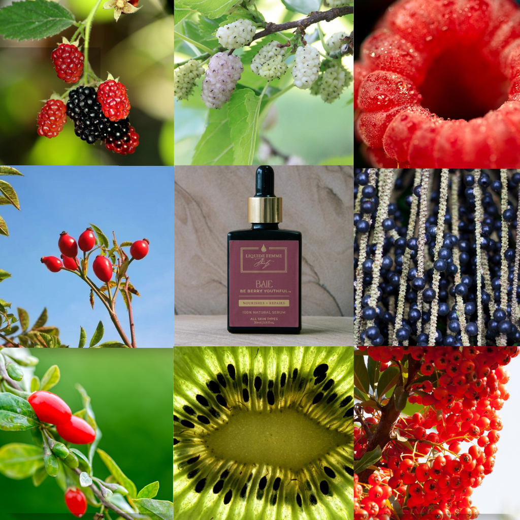 BAIE Serum: Be Berry Youthful ~ Protect & Restore