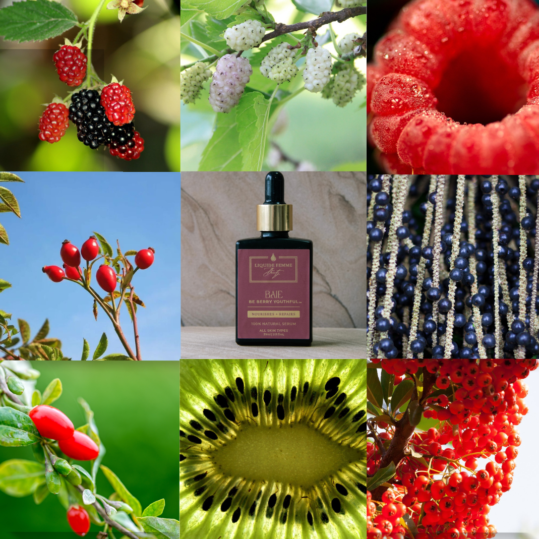 BAIE Serum: Be Berry Youthful ~ Protect & Restore